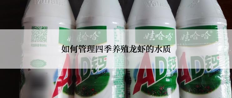 如何管理四季养殖龙虾的水质