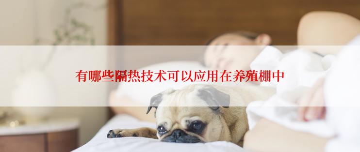 有哪些隔热技术可以应用在养殖棚中