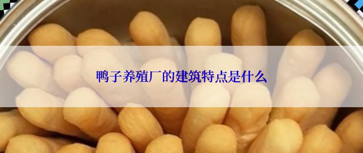 鸭子养殖厂的建筑特点是什么