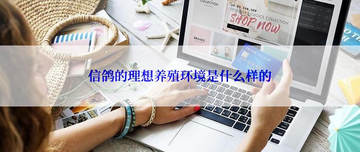 信鸽的理想养殖环境是什么样的