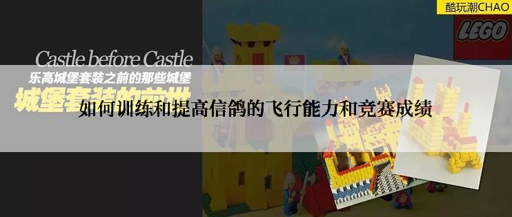 如何训练和提高信鸽的飞行能力和竞赛成绩