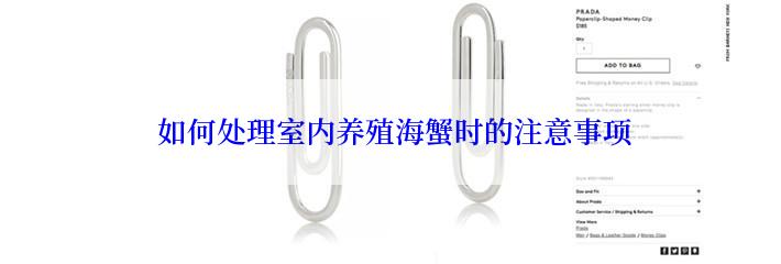  如何处理室内养殖海蟹时的注意事项