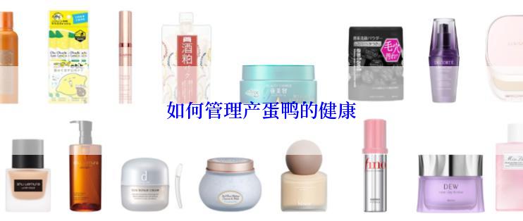 如何管理产蛋鸭的健康