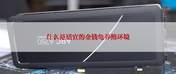 什么是适宜的金钱龟养殖环境