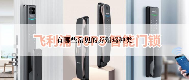 有哪些常见的养殖鸡种类