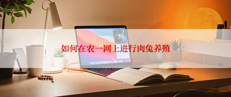 如何在农一网上进行肉兔养殖