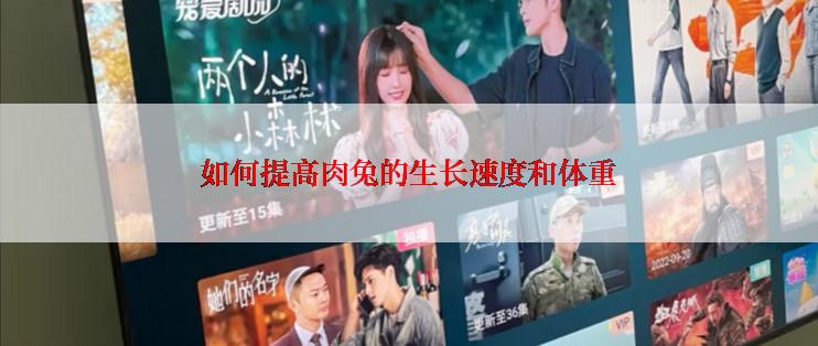 如何提高肉兔的生长速度和体重