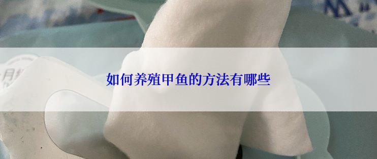 如何养殖甲鱼的方法有哪些