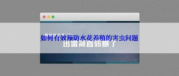 如何有效预防水花养殖的害虫问题