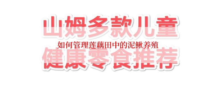  如何管理莲藕田中的泥鳅养殖