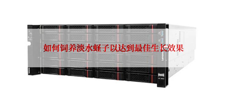 如何饲养淡水蛏子以达到最佳生长效果