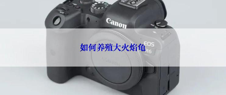 如何养殖大火焰龟