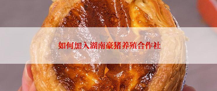  如何加入湖南豪猪养殖合作社