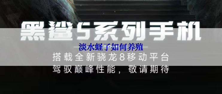 淡水蛏子如何养殖