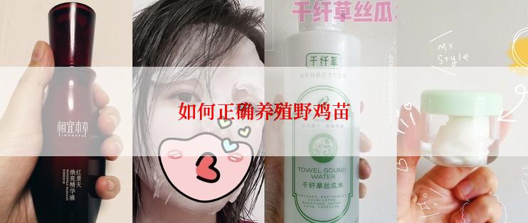 如何正确养殖野鸡苗