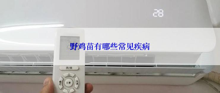 野鸡苗有哪些常见疾病