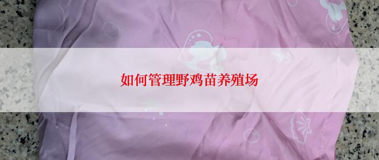 如何管理野鸡苗养殖场