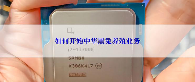 如何开始中华黑兔养殖业务
