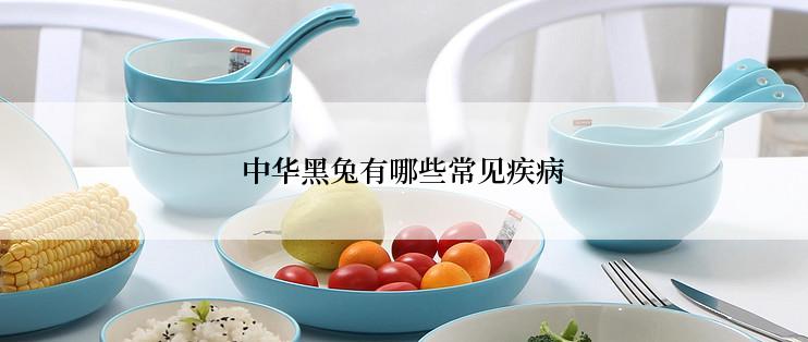中华黑兔有哪些常见疾病