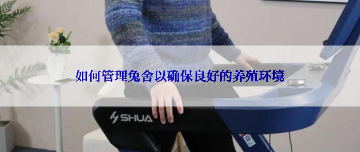 如何管理兔舍以确保良好的养殖环境