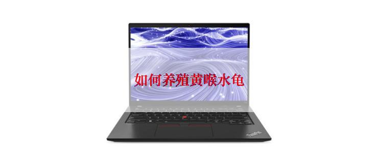 如何养殖黄喉水龟