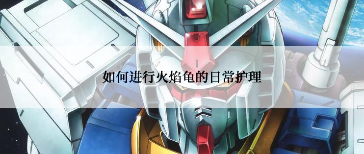 如何进行火焰龟的日常护理