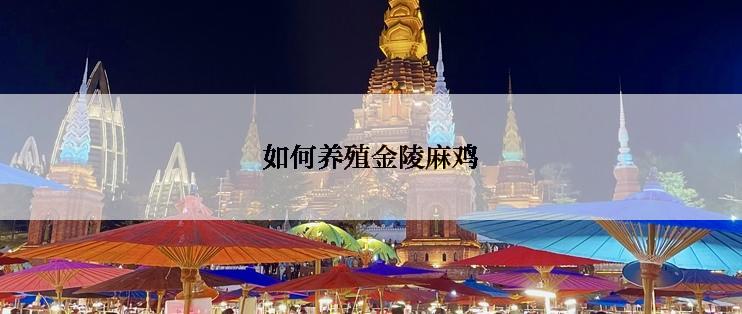 如何养殖金陵麻鸡
