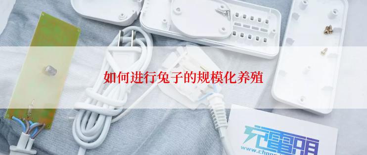 如何进行兔子的规模化养殖