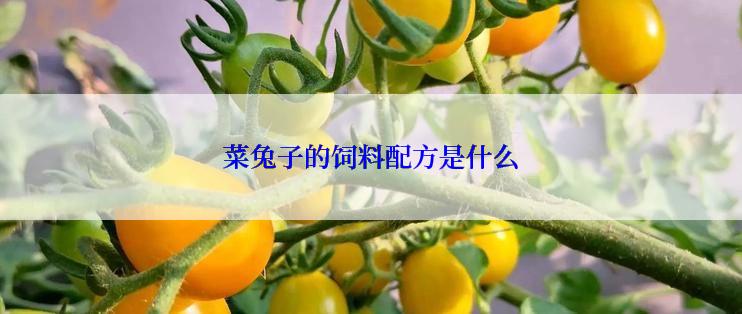 菜兔子的饲料配方是什么