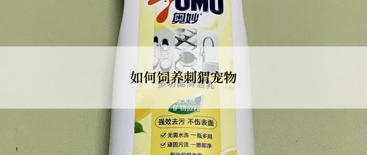 如何饲养刺猬宠物