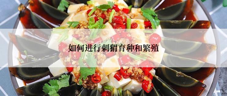 如何进行刺猬育种和繁殖