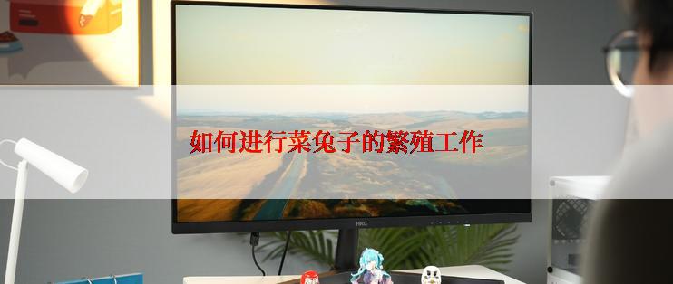 如何进行菜兔子的繁殖工作