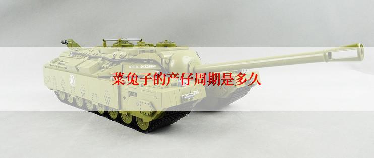 菜兔子的产仔周期是多久