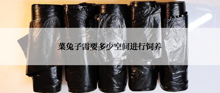 菜兔子需要多少空间进行饲养