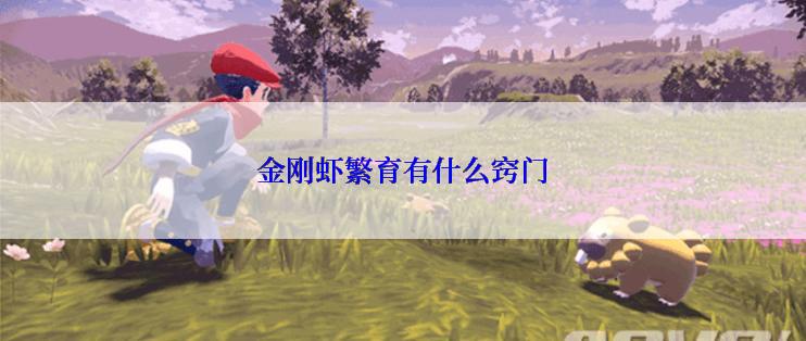 金刚虾繁育有什么窍门