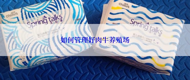 如何管理好肉牛养殖场
