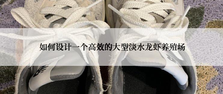 如何设计一个高效的大型淡水龙虾养殖场