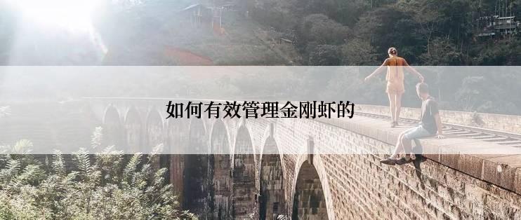 如何有效管理金刚虾的