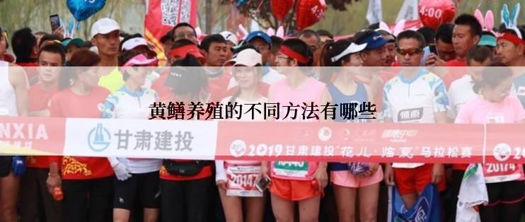黄鳝养殖的不同方法有哪些