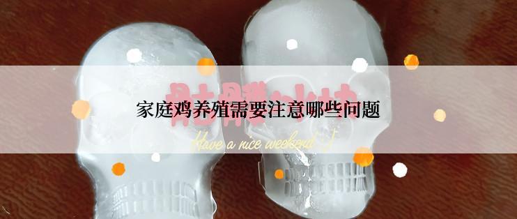 家庭鸡养殖需要注意哪些问题