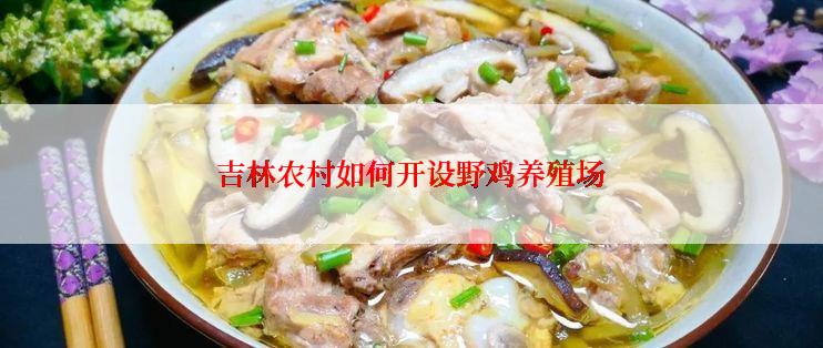 吉林农村如何开设野鸡养殖场