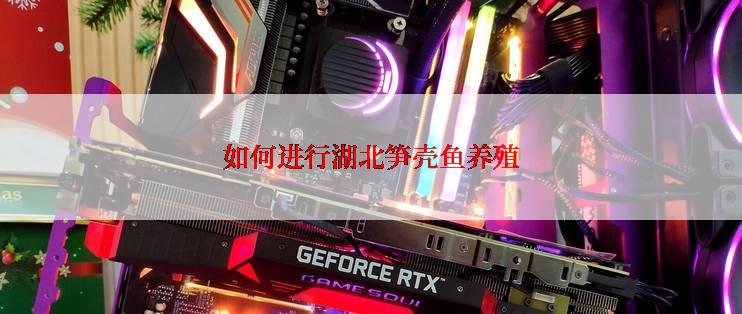 如何进行湖北笋壳鱼养殖