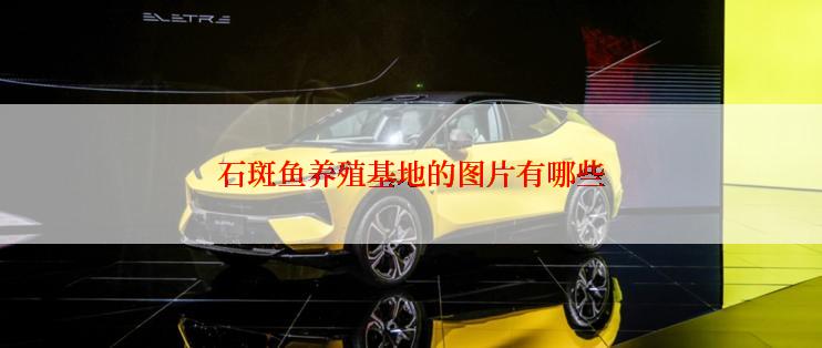 石斑鱼养殖基地的图片有哪些