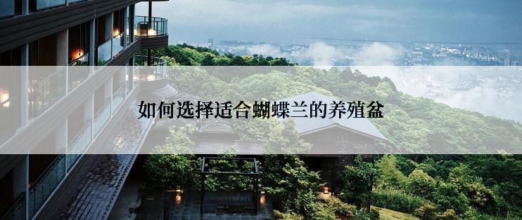 如何选择适合蝴蝶兰的养殖盆
