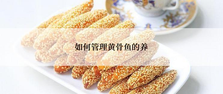 如何管理黄骨鱼的养