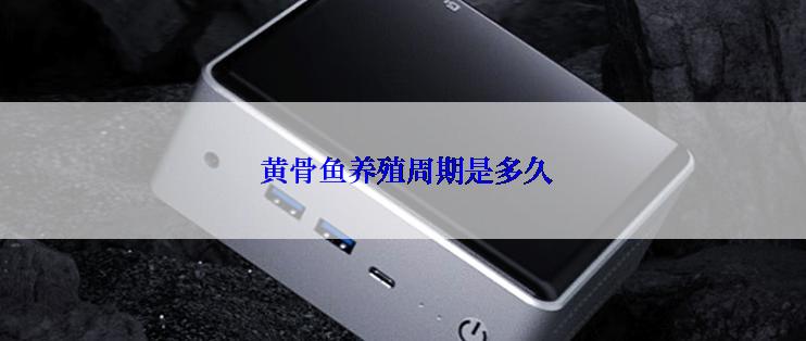  黄骨鱼养殖周期是多久