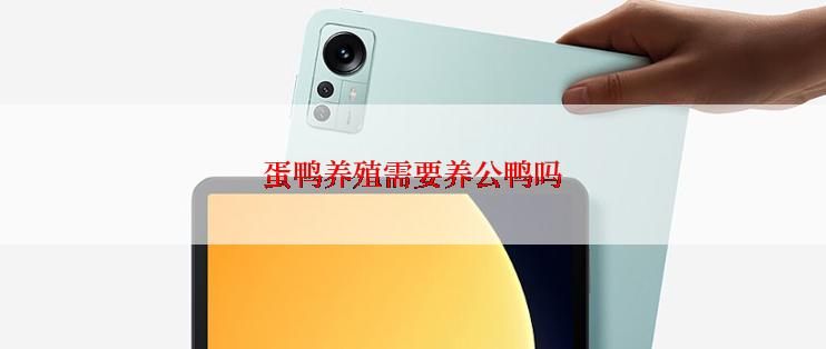 蛋鸭养殖需要养公鸭吗