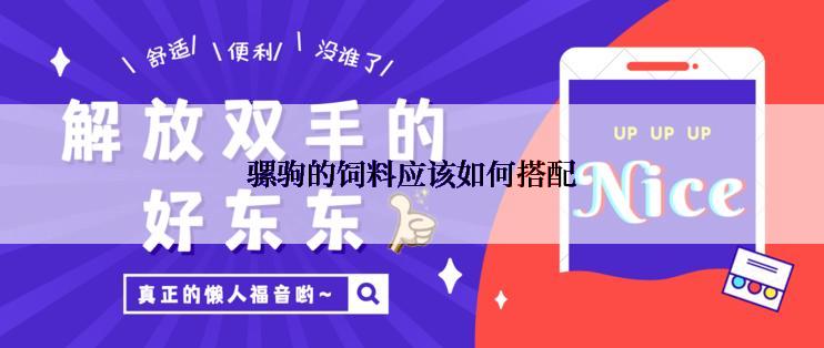 骡驹的饲料应该如何搭配