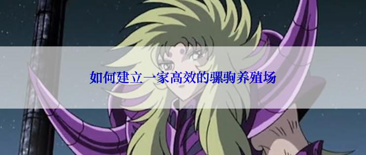 如何建立一家高效的骡驹养殖场