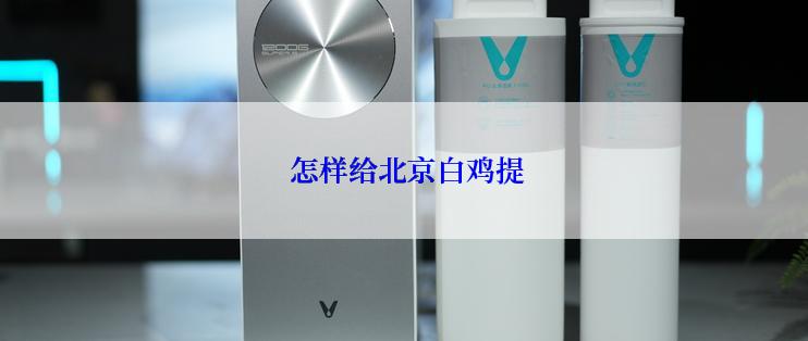 怎样给北京白鸡提
